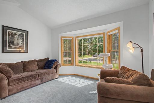 15235 Yellow Pine Street NW, Andover, MN 55304