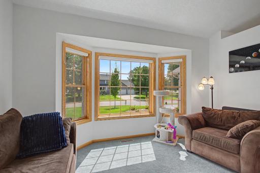 15235 Yellow Pine Street NW, Andover, MN 55304