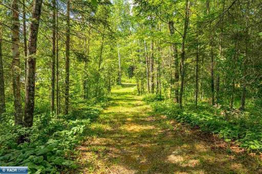 TBD Lagoon Road, Tower, MN 55790