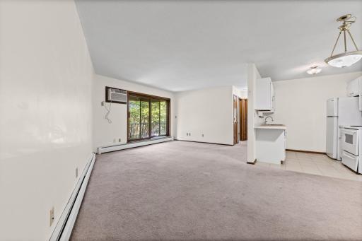 6007 W Broadway Avenue, 303, New Hope, MN 55428