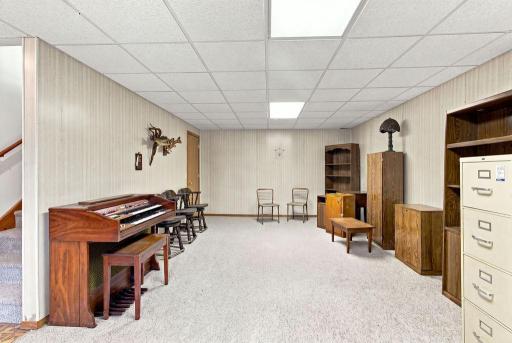 Large Recreation Room in the lower level with closet storage