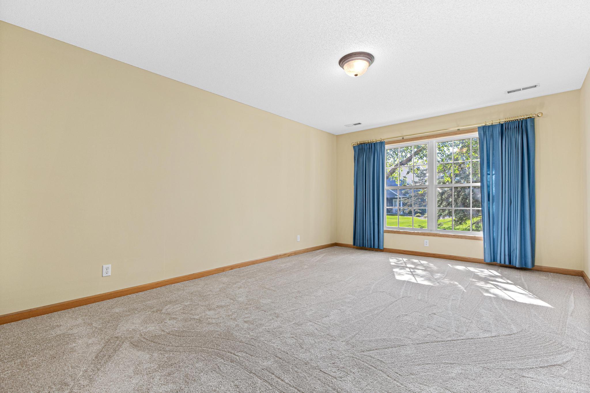 lower level bedroom.jpg