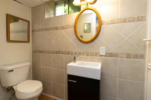 Lower level bathroom.