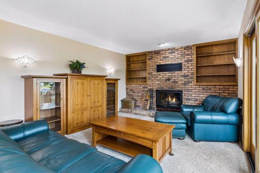 Kozy Heat ventilated wood burning firplace. fireplace.