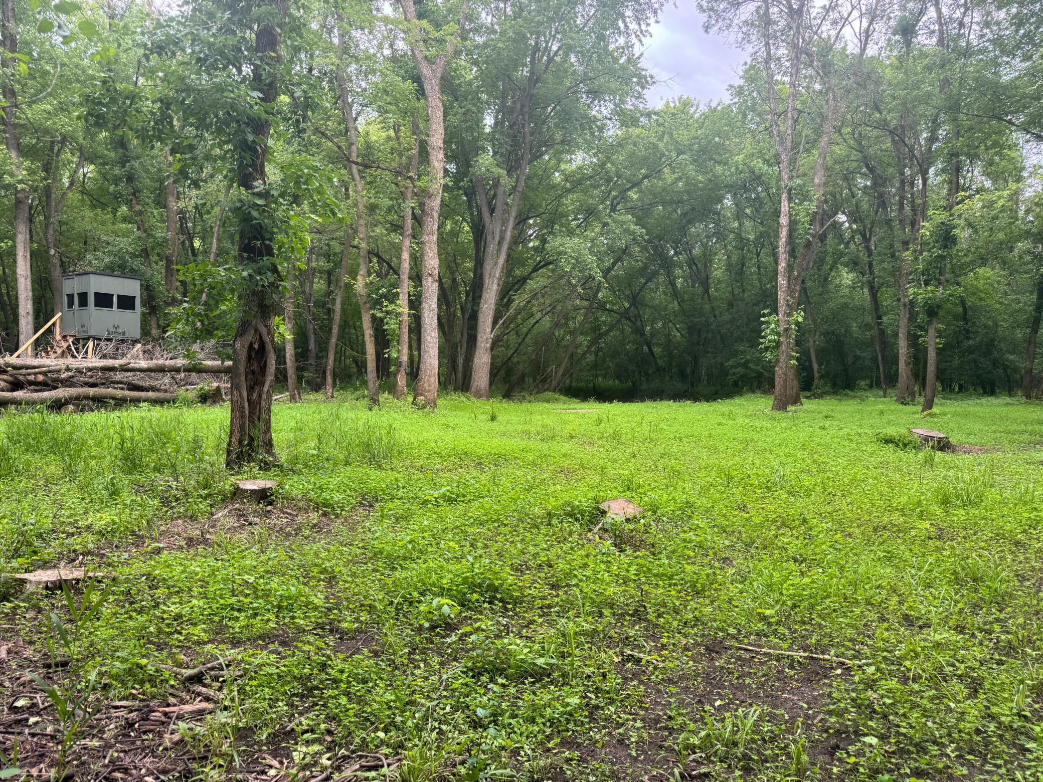 Food Plot 4