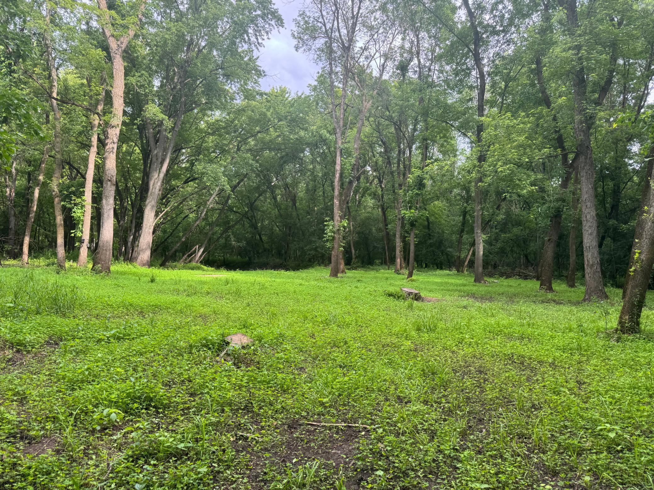 Food Plot 3