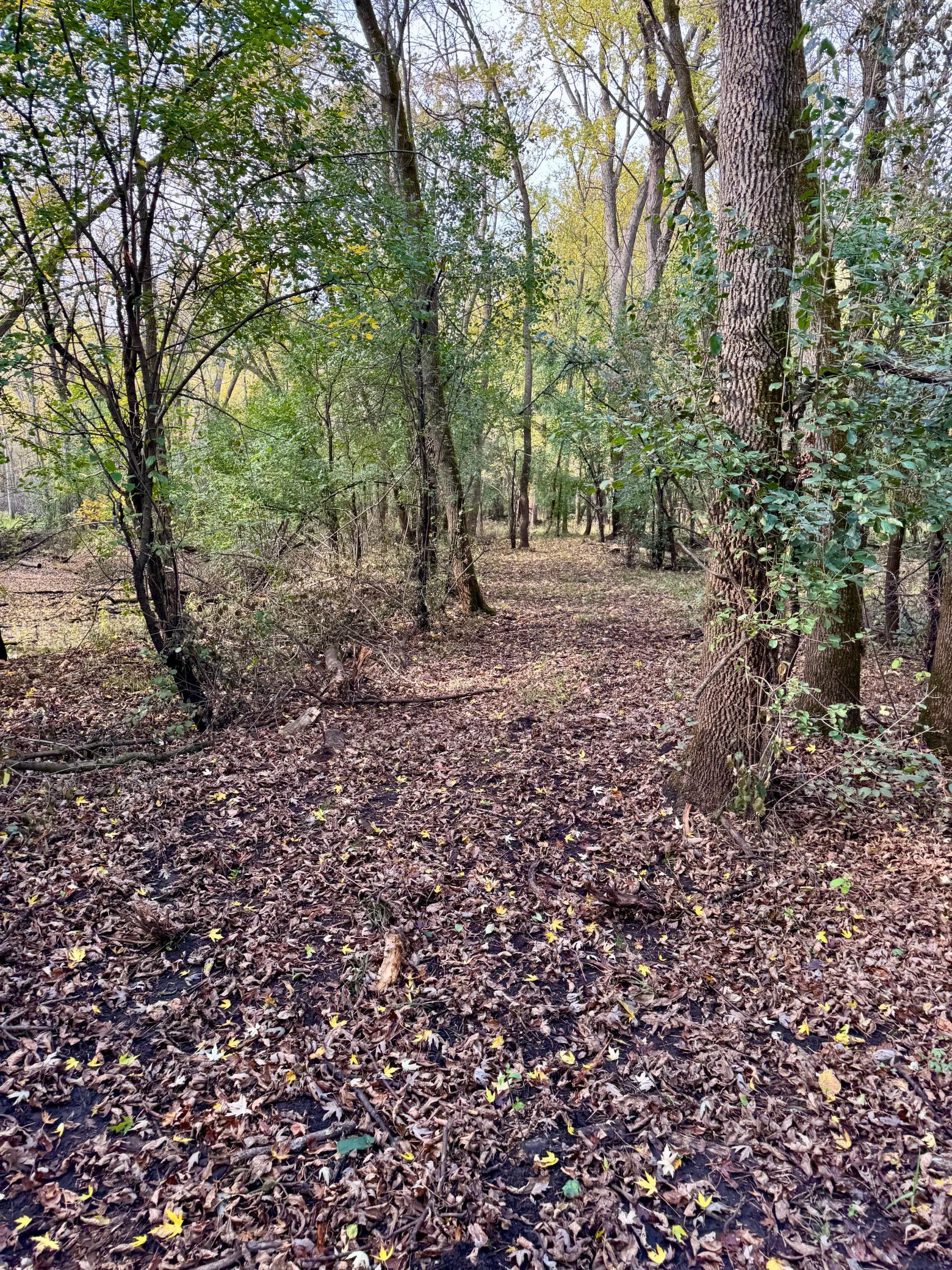 Professionally Groomed Trails