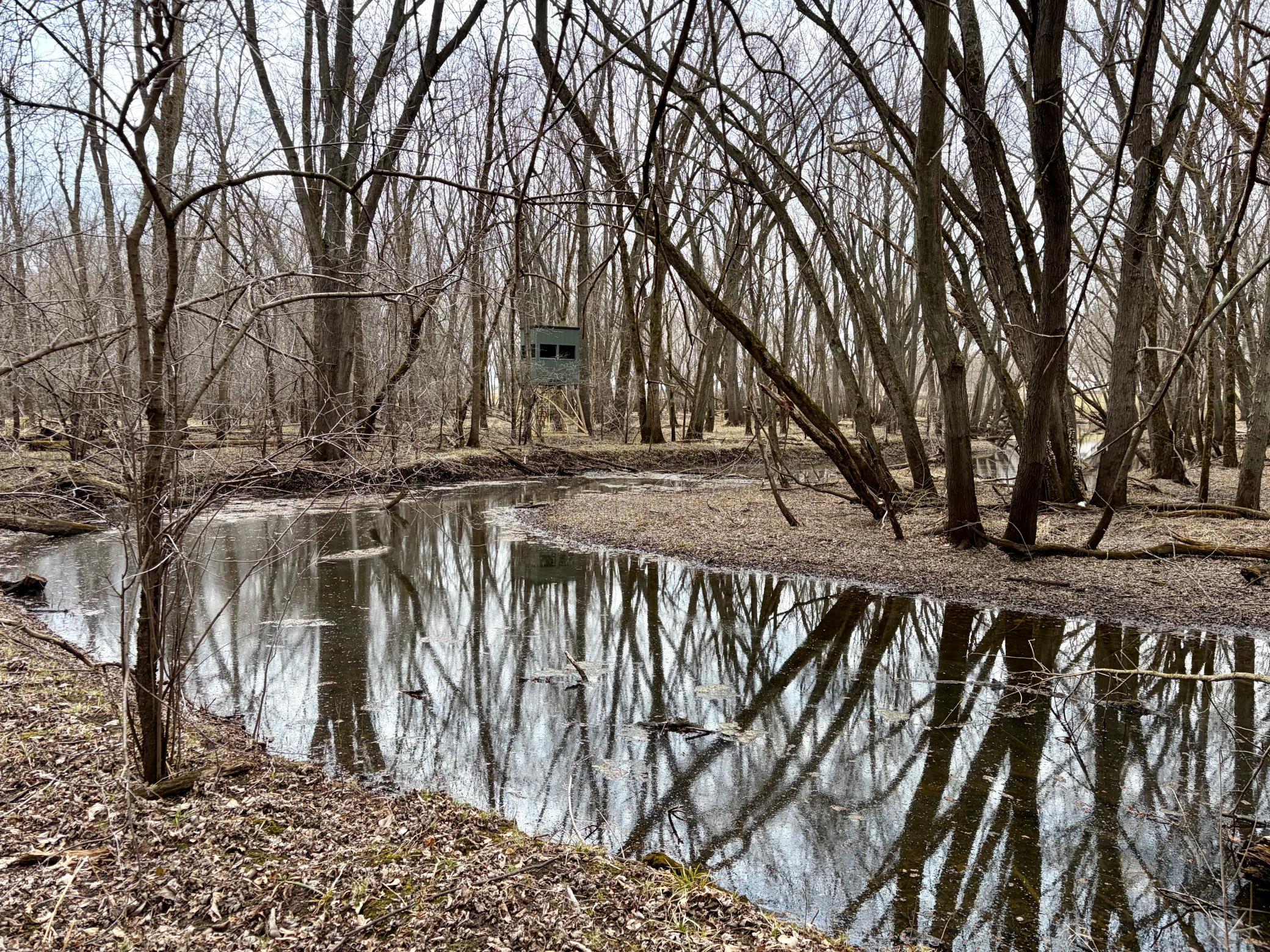 Creek 5