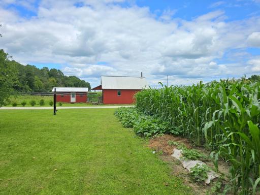 18395 Game Road, Preston, MN 55965