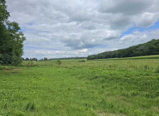 18395 Game Road, Preston, MN 55965