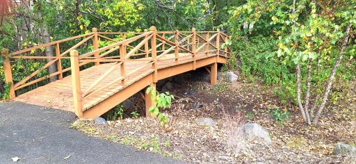 lovely little path.jpg