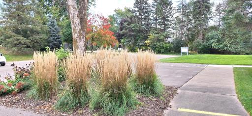 Fall view near parking lot.jpg