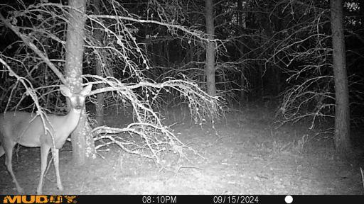 4130 4th Street NW, Backus, MN 56435
