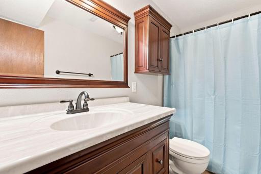 Basement Bathroom.jpg