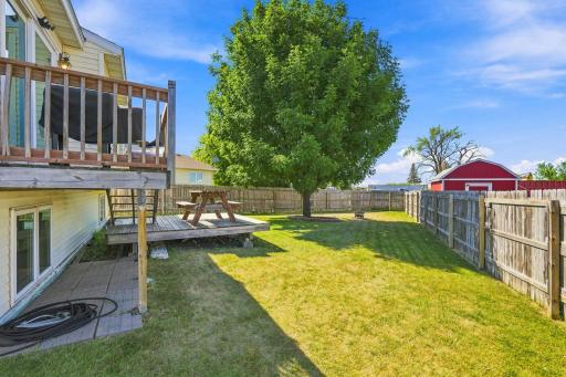 Backyard 1.jpg