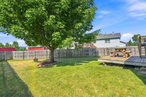 Backyard 2.jpg