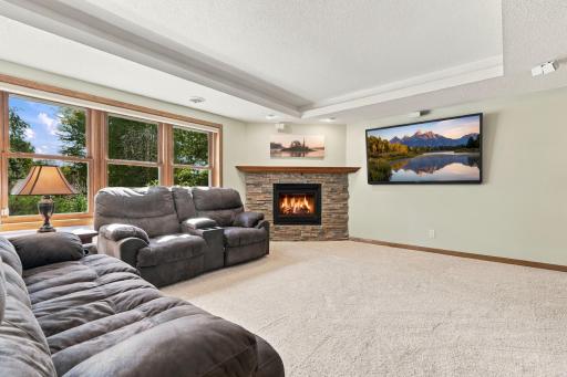 The rec room has a gas fireplace and tray ceilings.