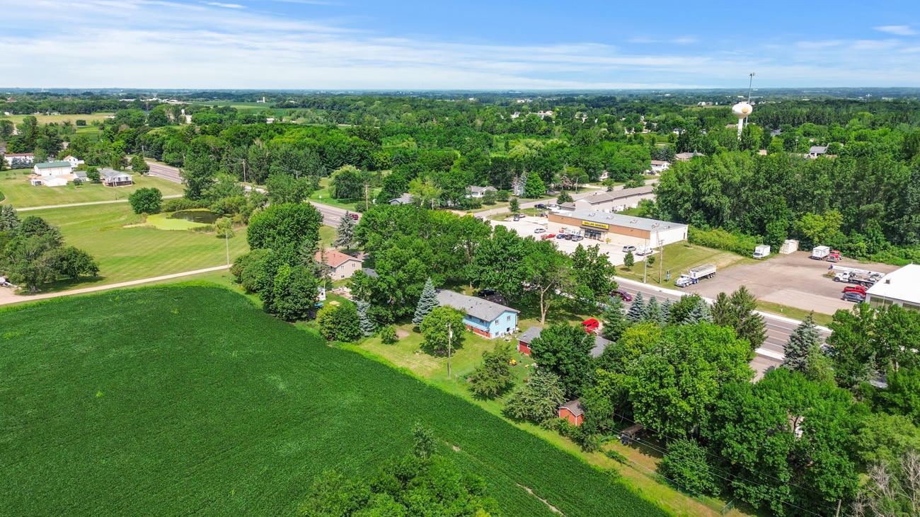 Gorgeous trees, plus open space for recreation