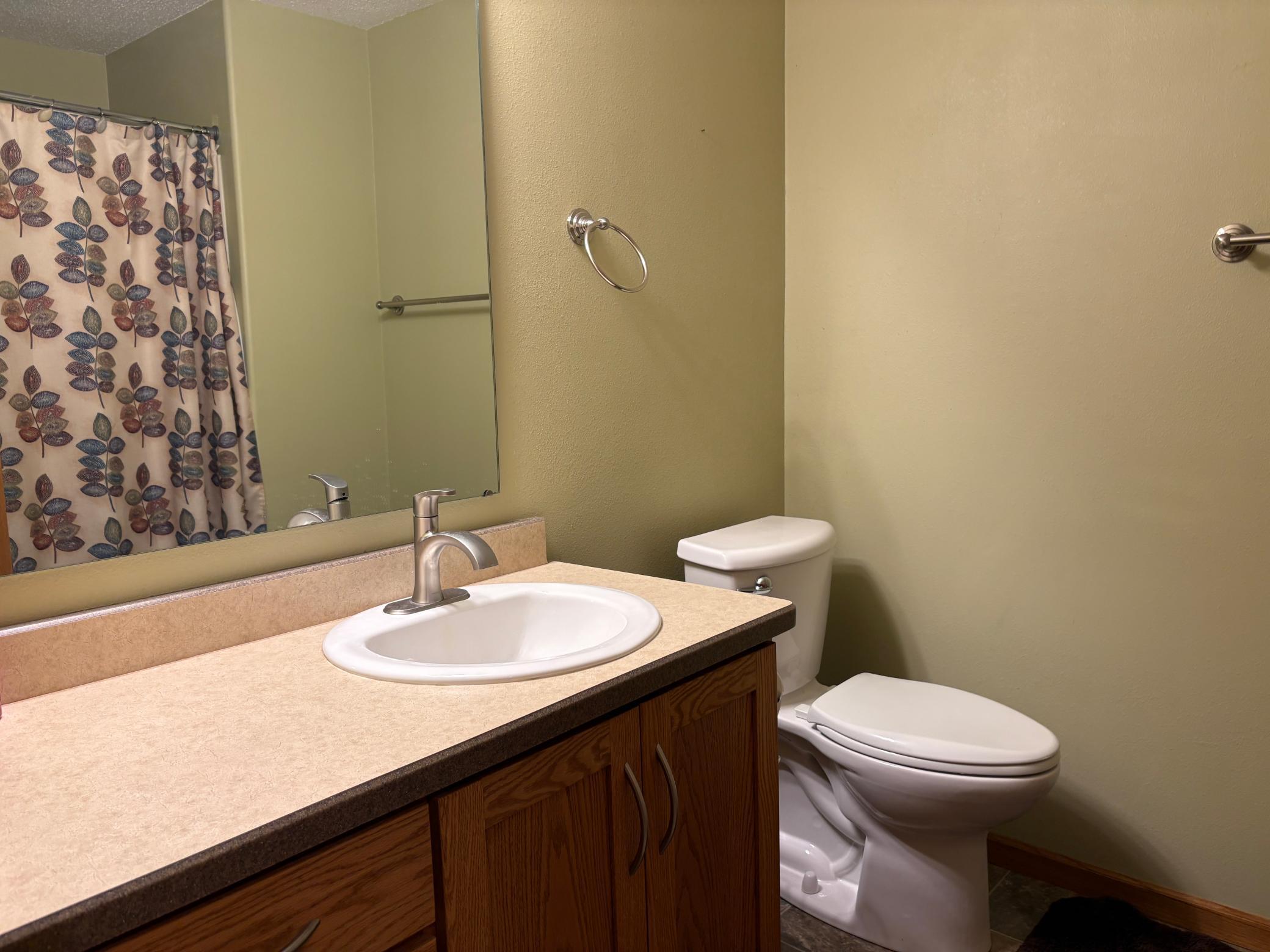 Full Basement Bath.JPG