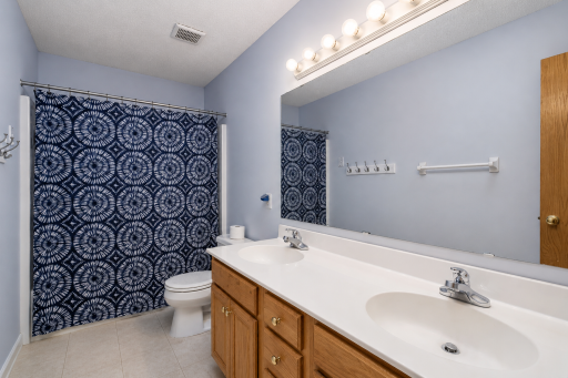 17670 Fortune Trail, Farmington, MN 55024