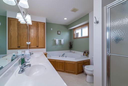 17670 Fortune Trail, Farmington, MN 55024