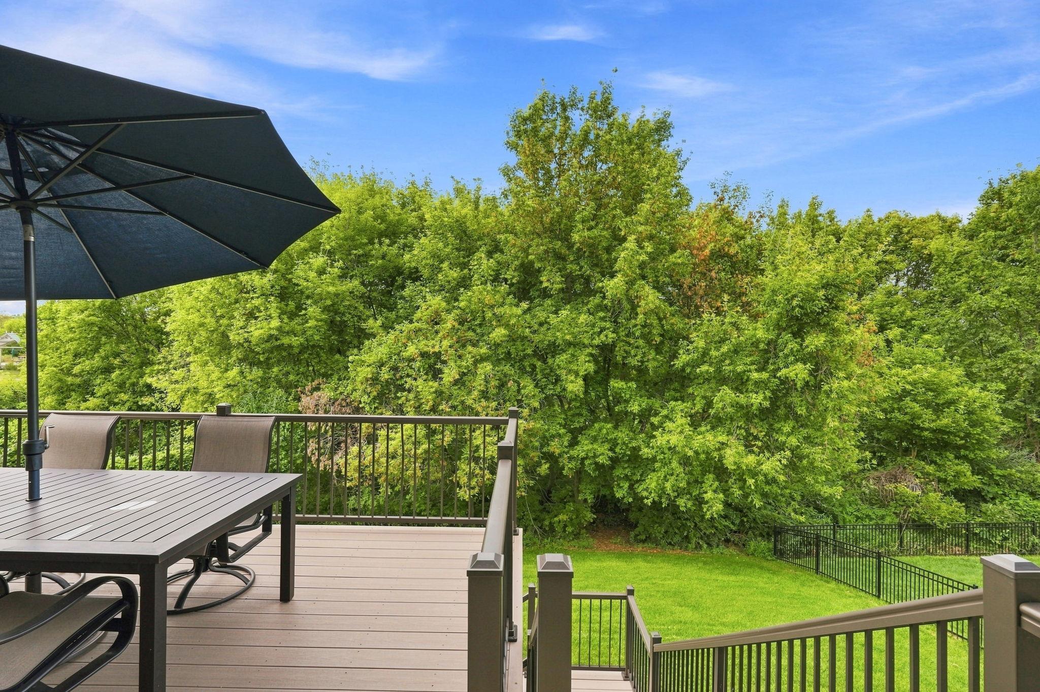 Back Yard Privacy