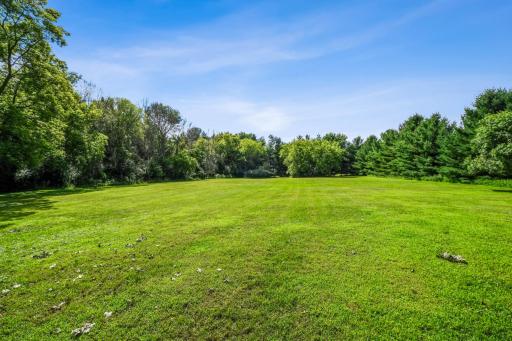 Wide-open, tree-lined yard offering privacy, natural beauty, and plenty of room for recreation or future projects.