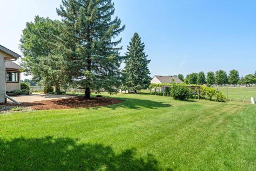 Huge backyard area. Beautiful mature trees!