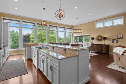 Remodeled kitchen with updated cabinetry, Granite Countertops, Stylish light fixtures and incredible windows span the entire back of this main level! Cabinetry on both sides of island offering a ton of cabinet storage!