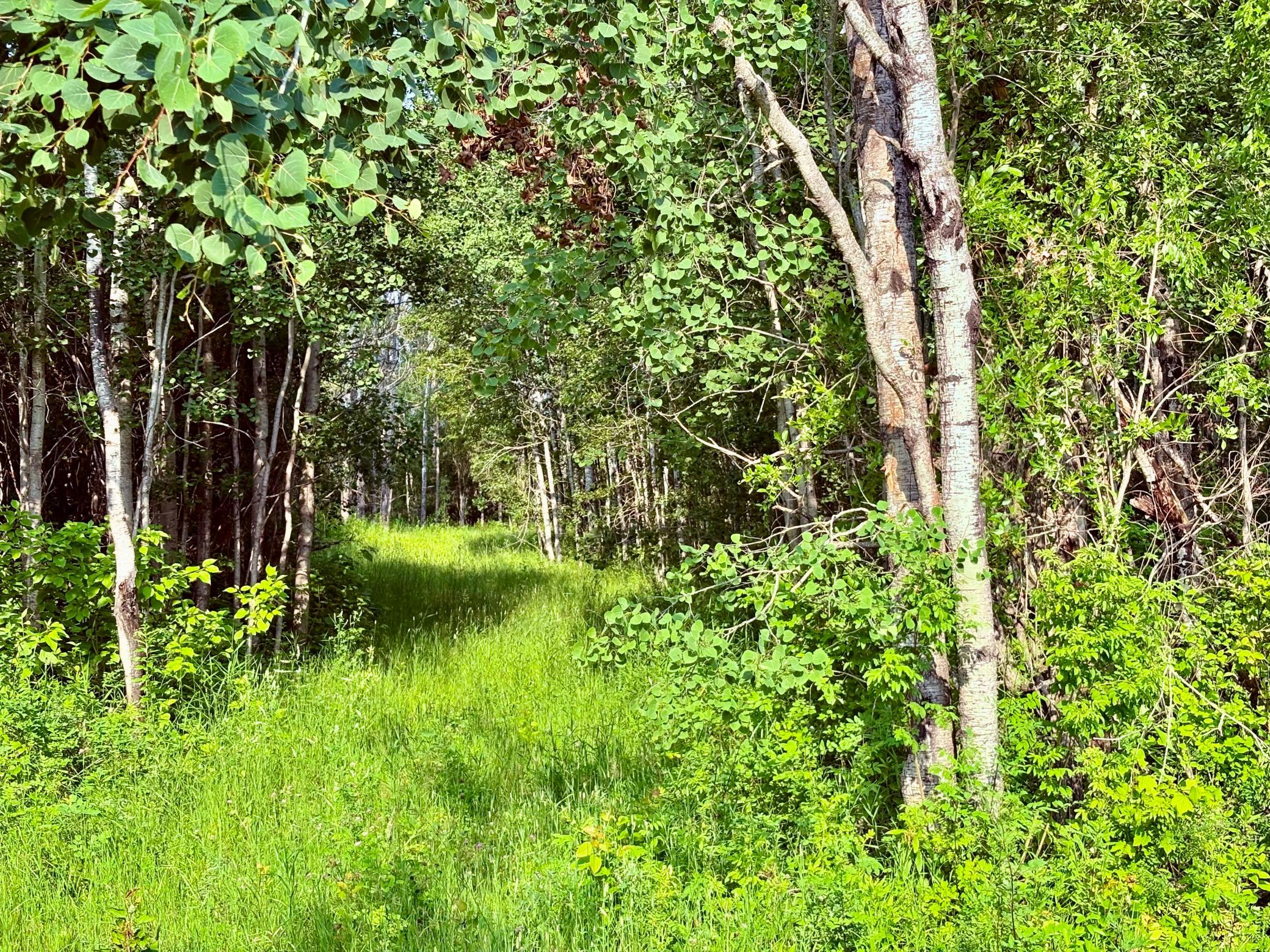 SE corner and entrance to the property