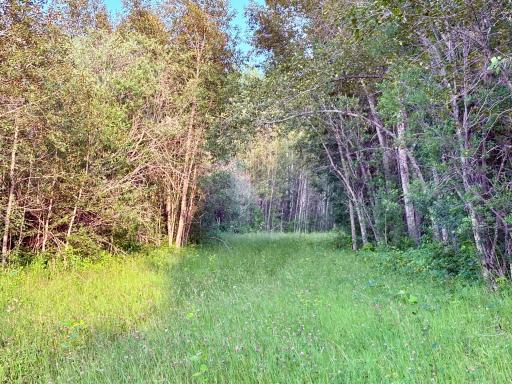 Trails