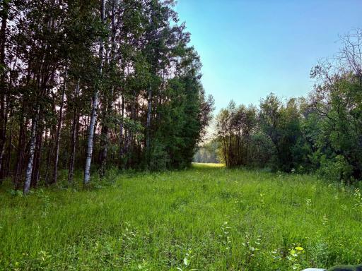 Clearings for building or food plots