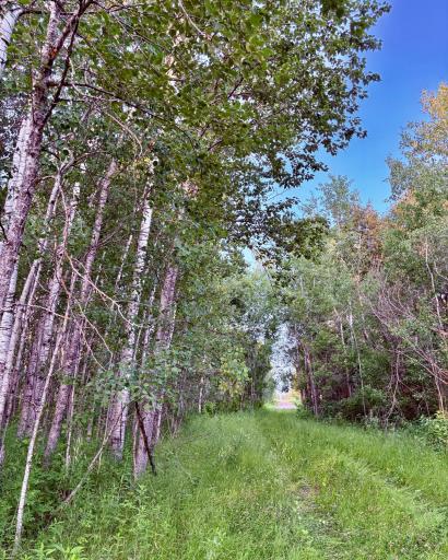 Path back out to the road