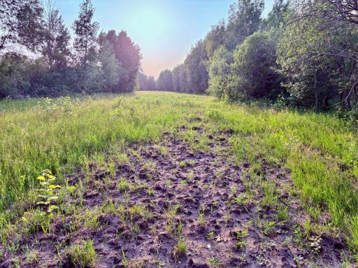 Tillable land for food plots