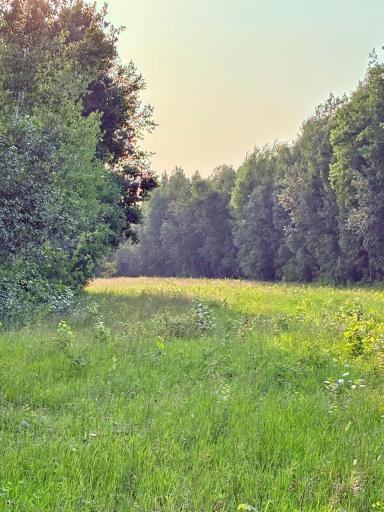 Deer stand is not on the property