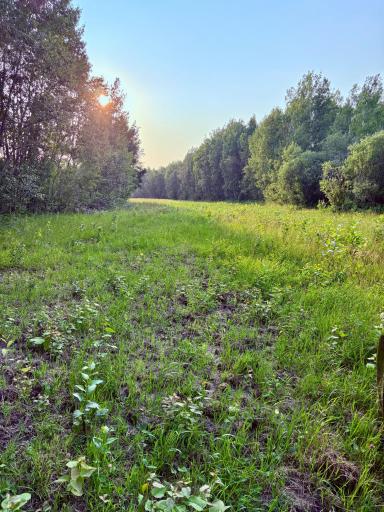 Up north paradise