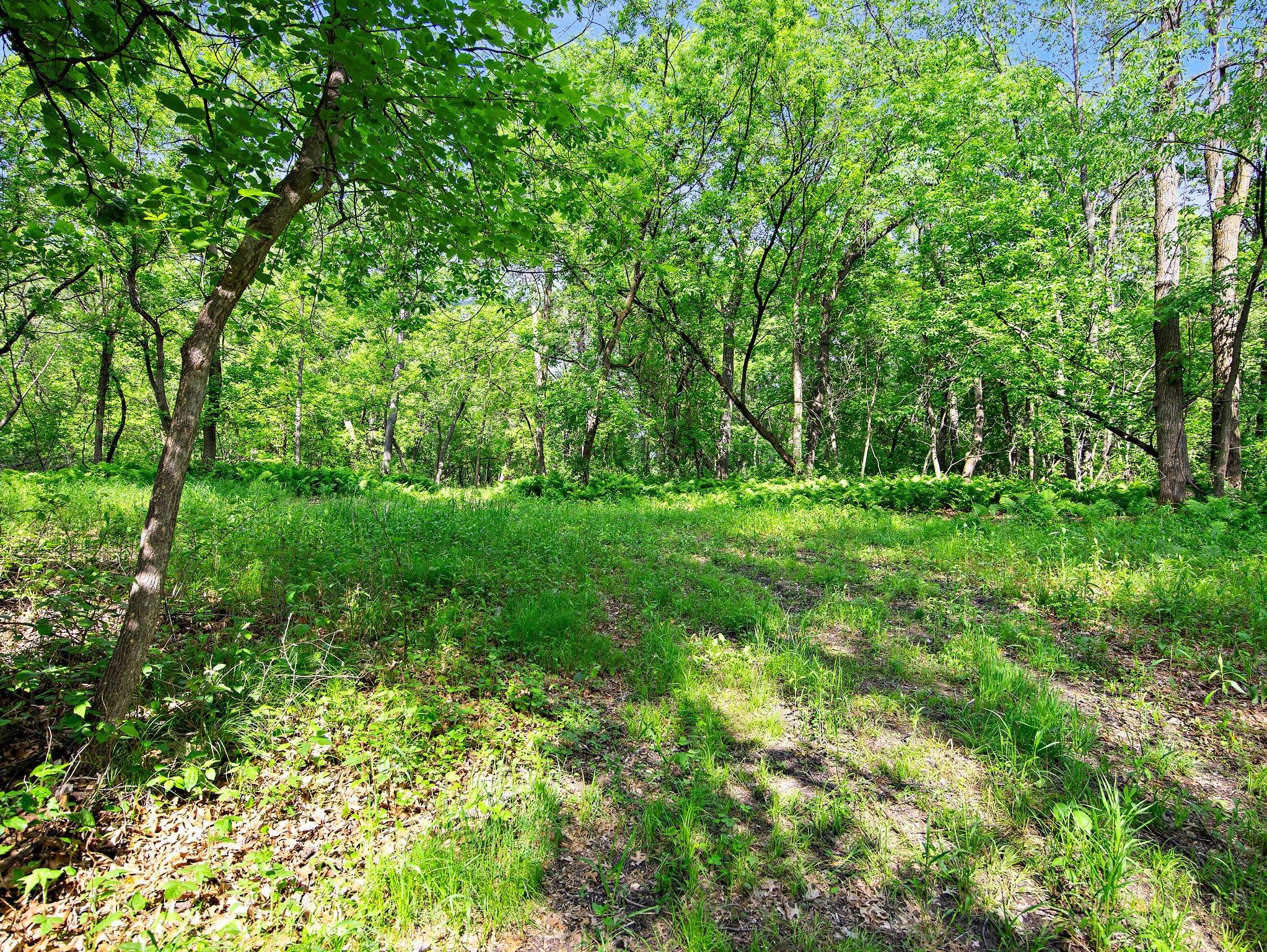 22-web-or-mls-31453 Central Dr NE-64.jpg
