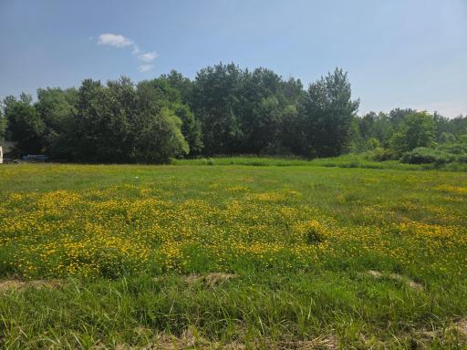 XX Washington Ave, Port Wing, WI 54865