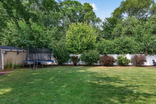 Backyard, fully fensed and complete privacy.jpg