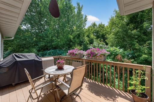 45_2637_Wilds45_mls.jpg