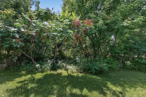 48_2637_Wilds48_mls.jpg