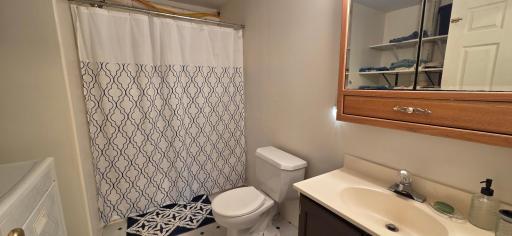 Lower level full bath