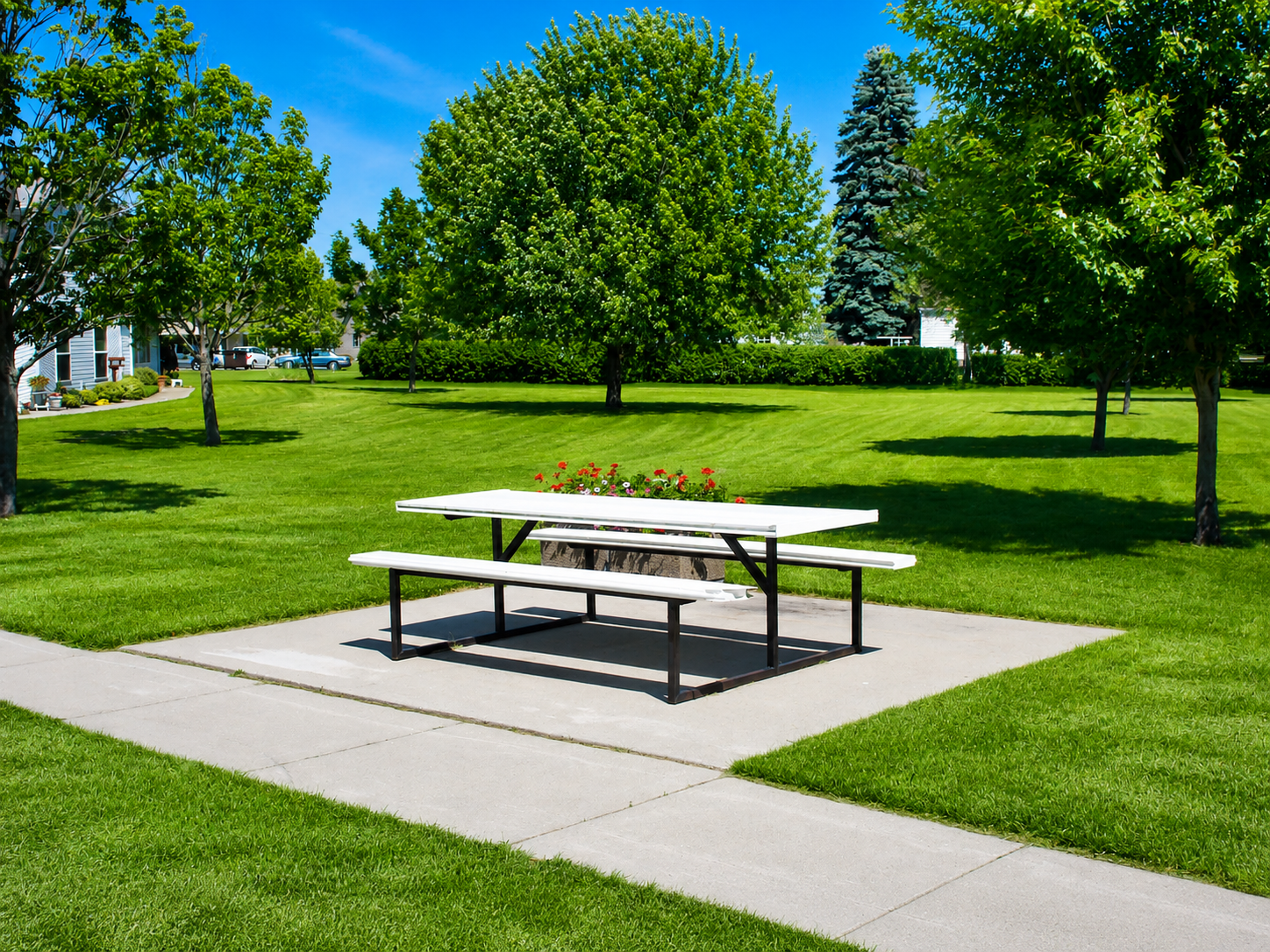 Picnic Area.png