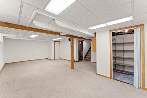 Finished Lower Level with Storage