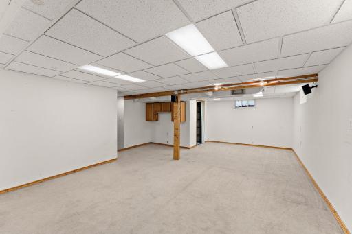 Finished Lower Level