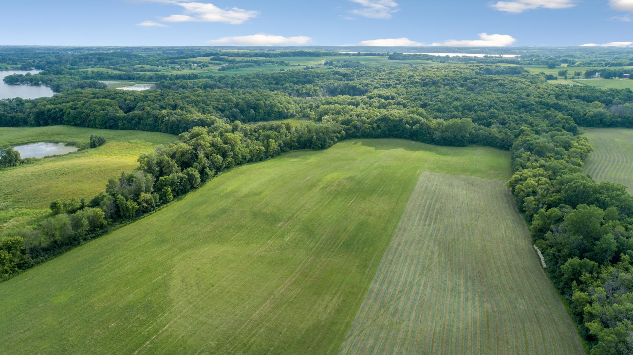aerial 13.jpg