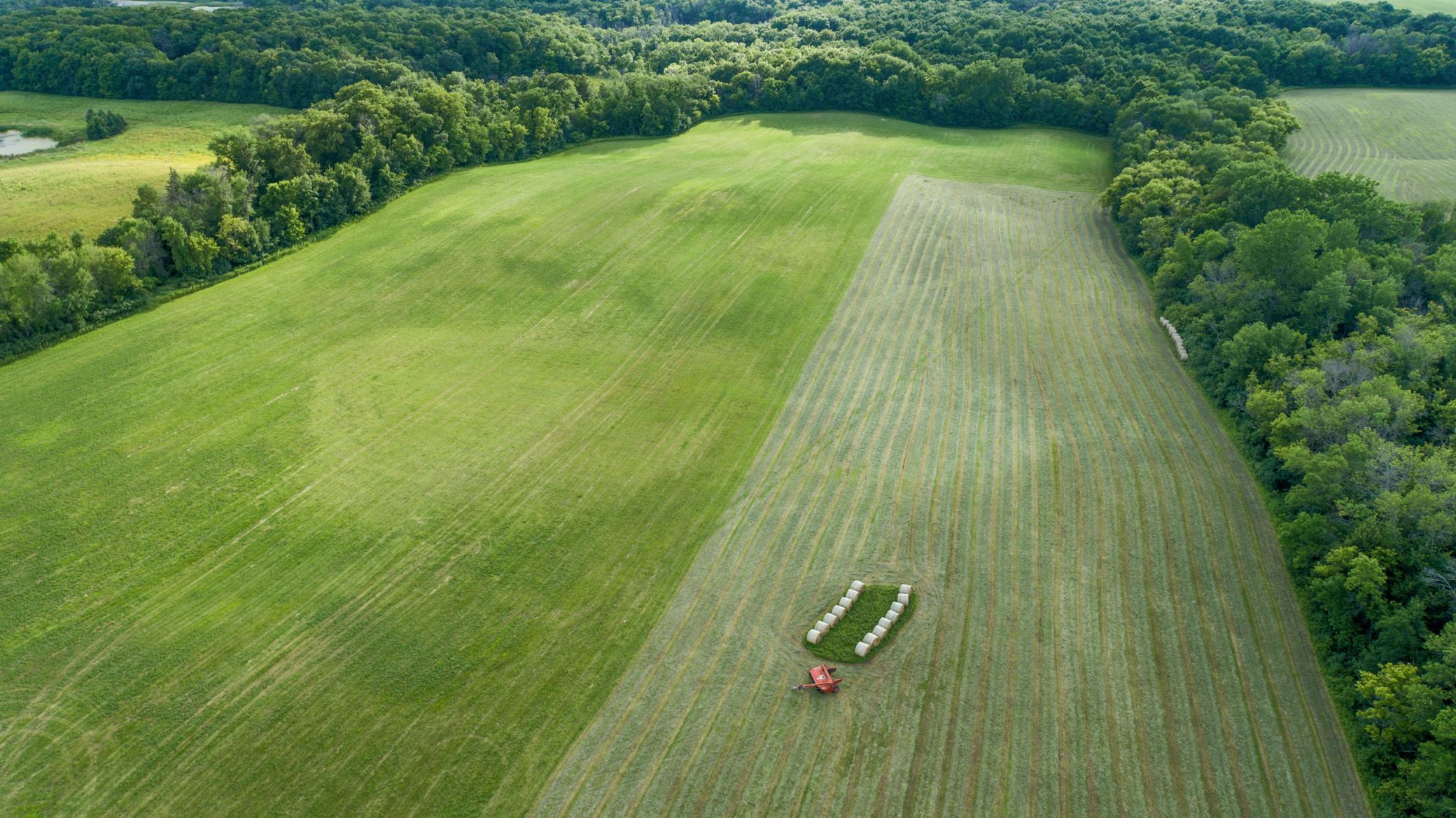 aerial 14.jpg