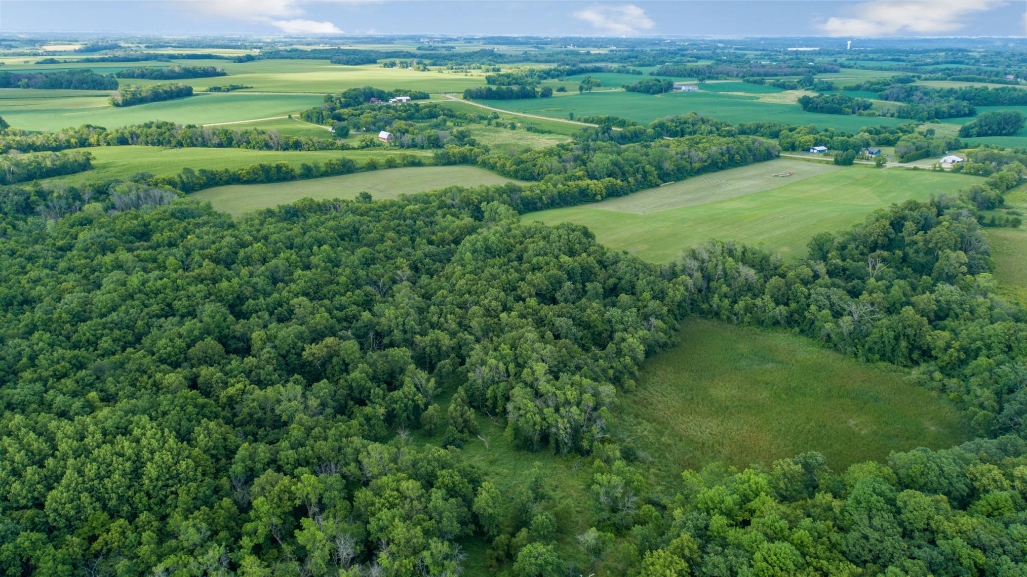 aerial 6.jpg
