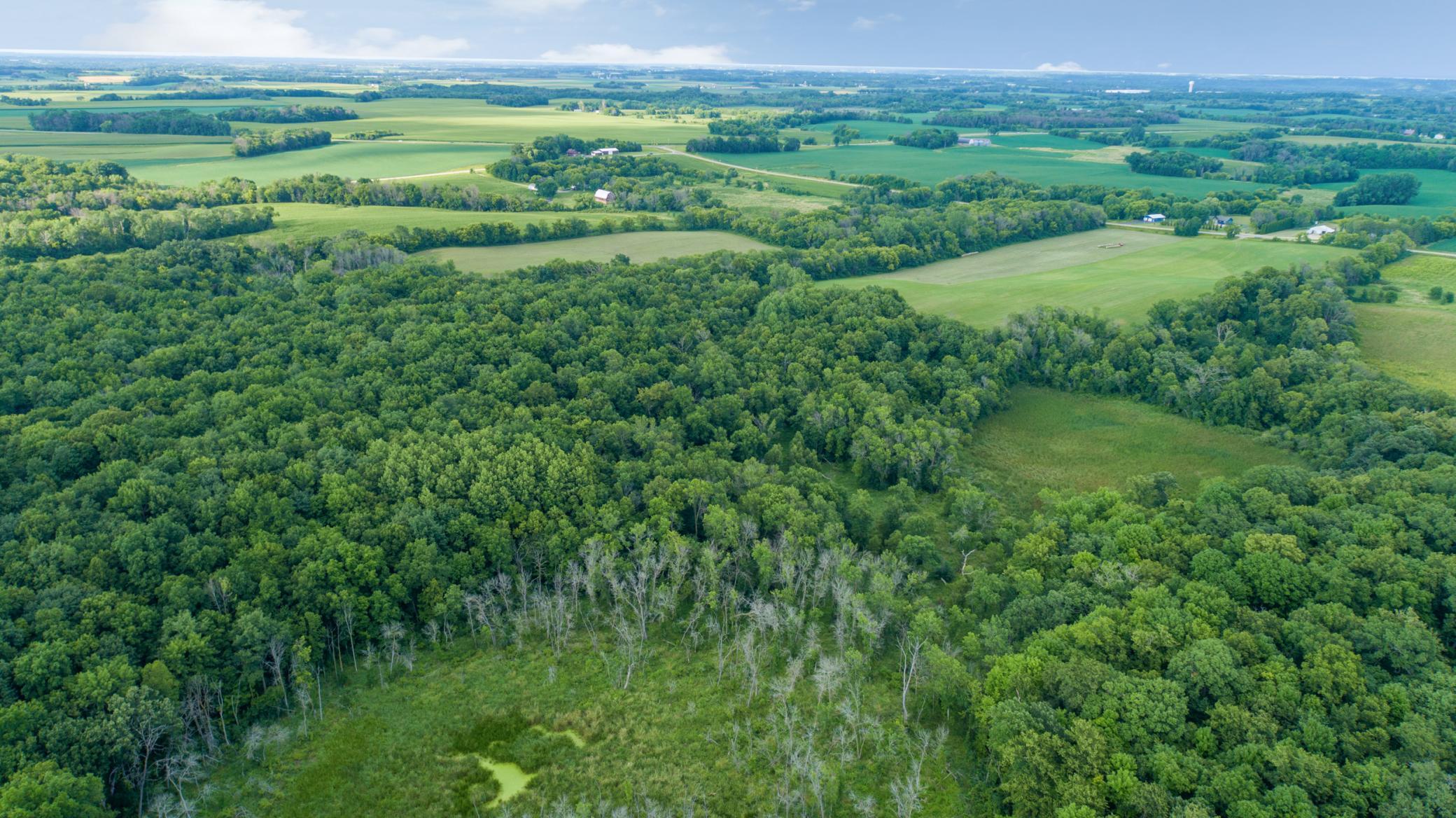 aerial 7.jpg