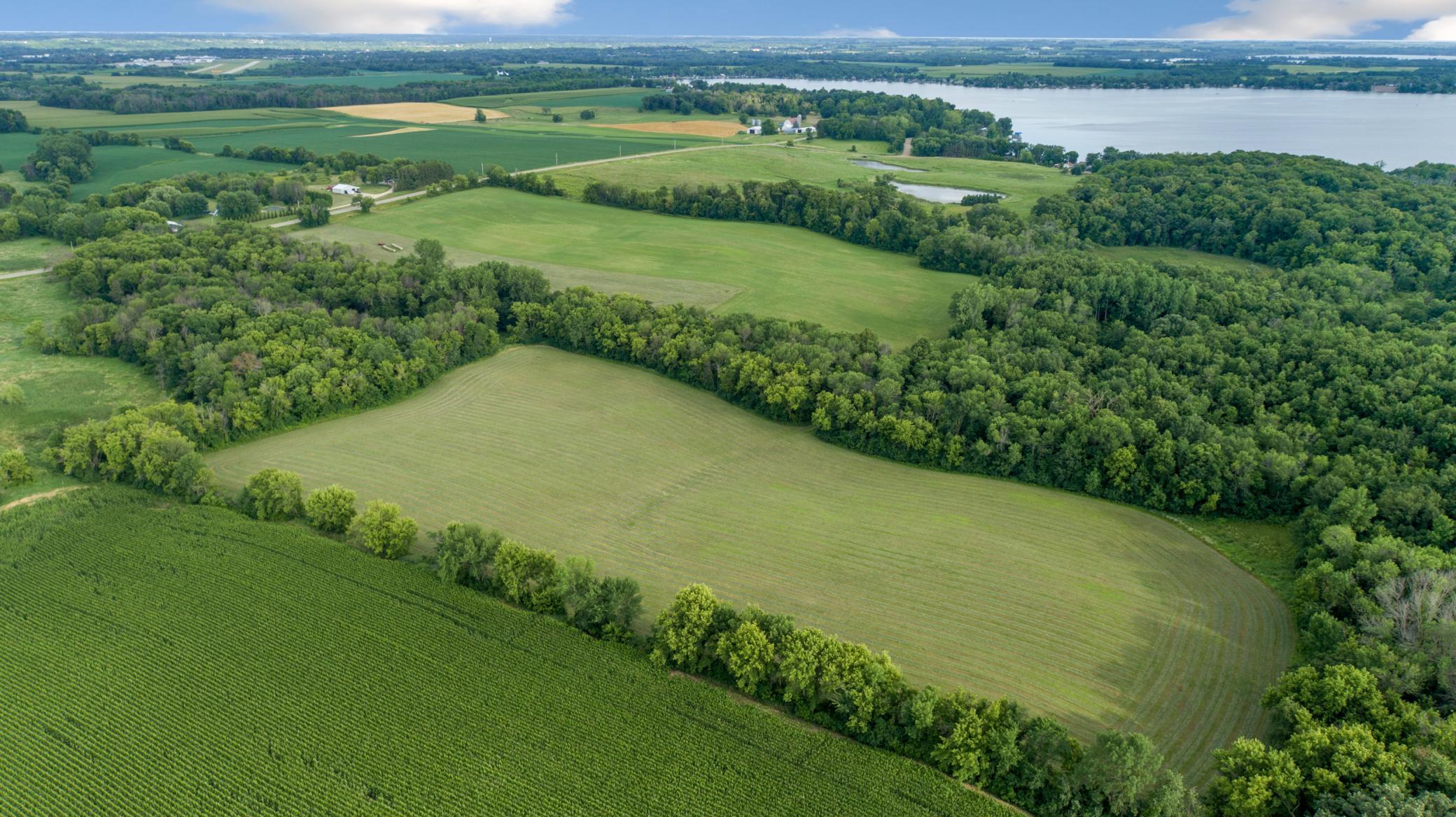 aerial 10.jpg